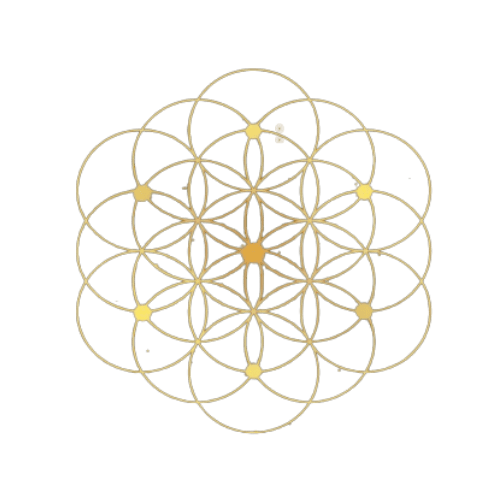 Frequencyshiftyoga.com